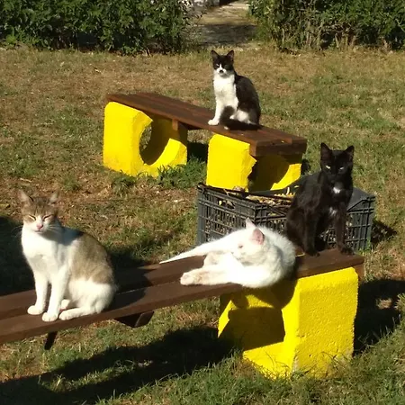 Вилла Optasia *