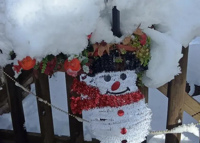 Optasia Καρπενήσι